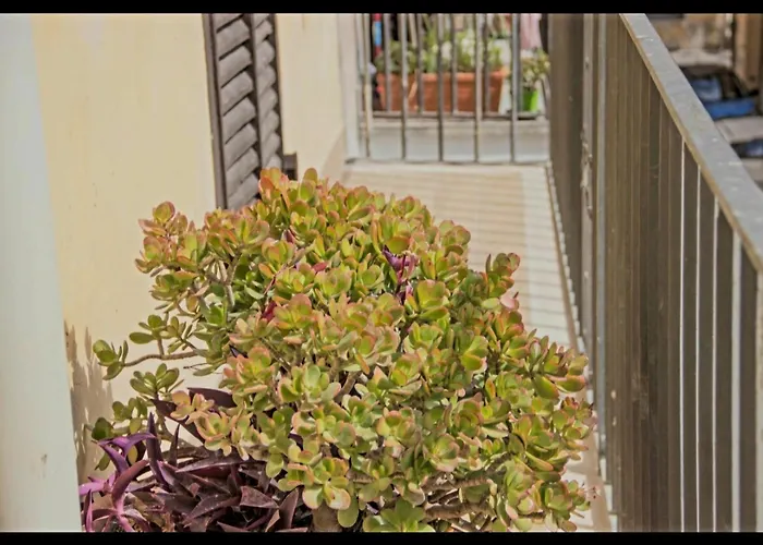 Apartmán Vatican View